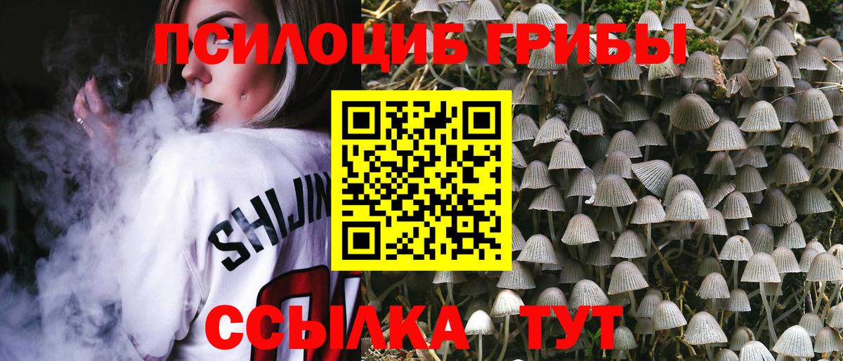 Галлюциногенные грибы GOLDEN TEACHER Мытищи